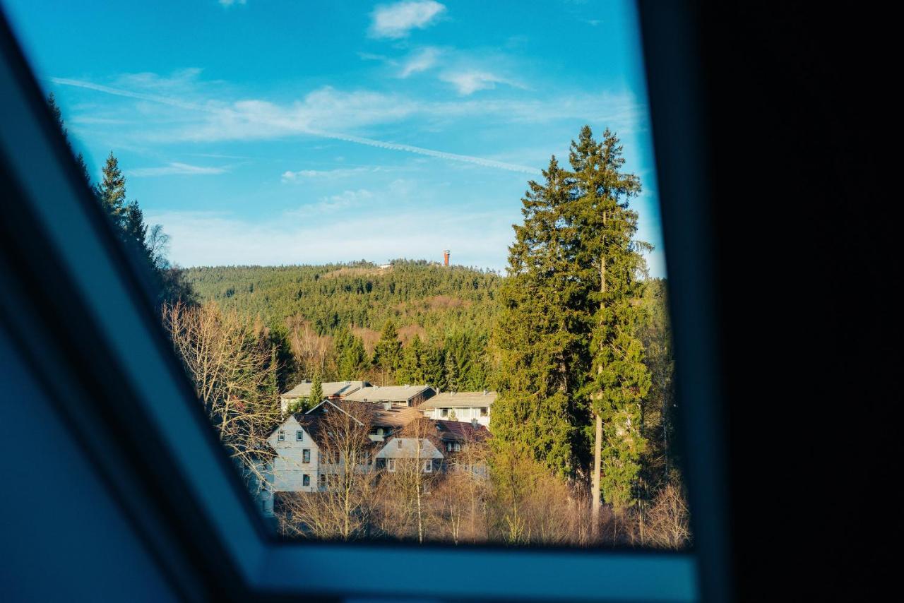 Fichte Braunlage